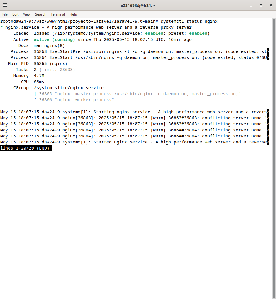 Estado del servicio NGINX